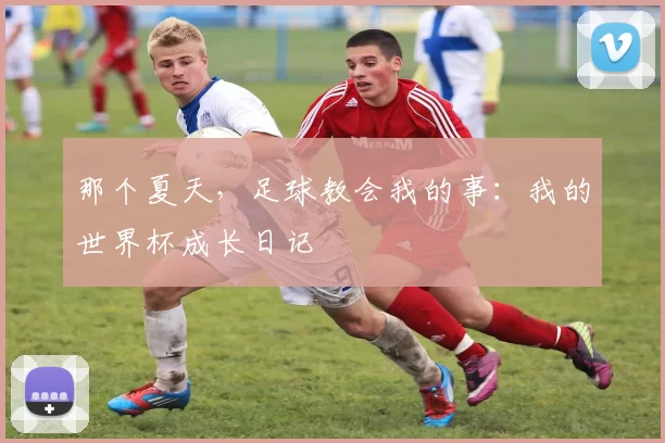 那个夏天，足球教会我的事：我的世界杯成长日记