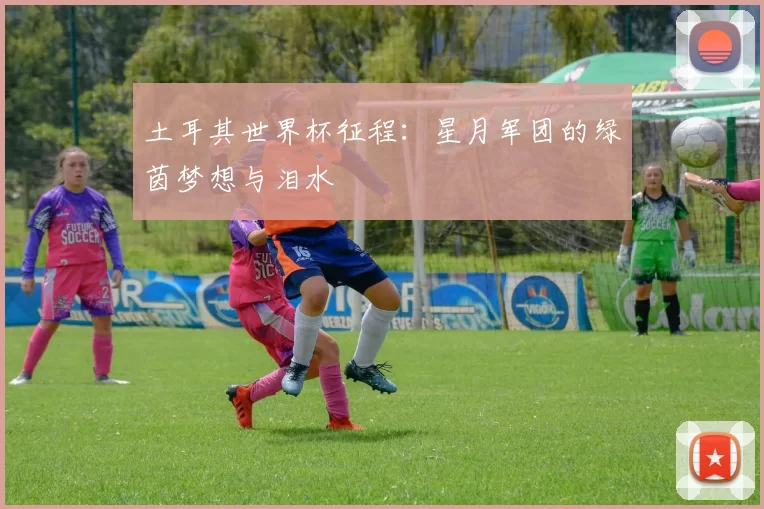 土耳其世界杯征程：星月军团的绿茵梦想与泪水