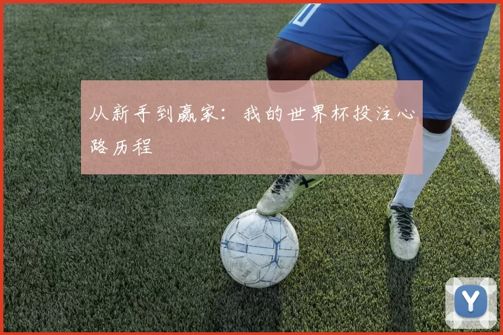 从新手到赢家：我的世界杯投注心路历程