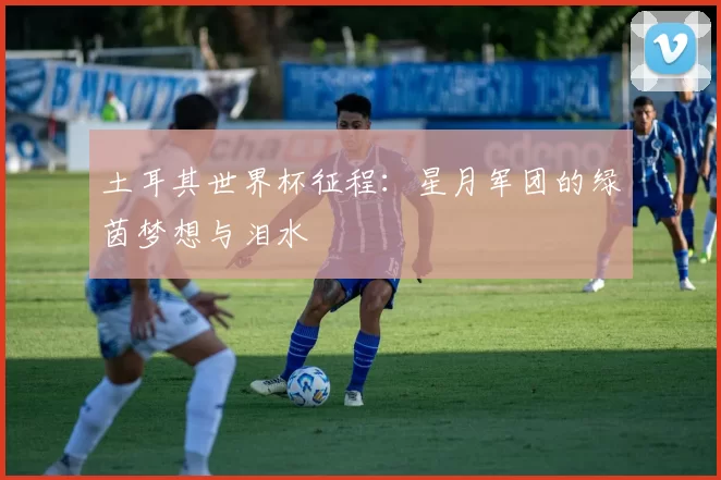 土耳其世界杯征程：星月军团的绿茵梦想与泪水