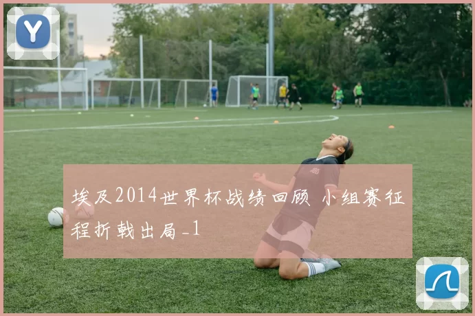 埃及2014世界杯战绩回顾 小组赛征程折戟出局_1