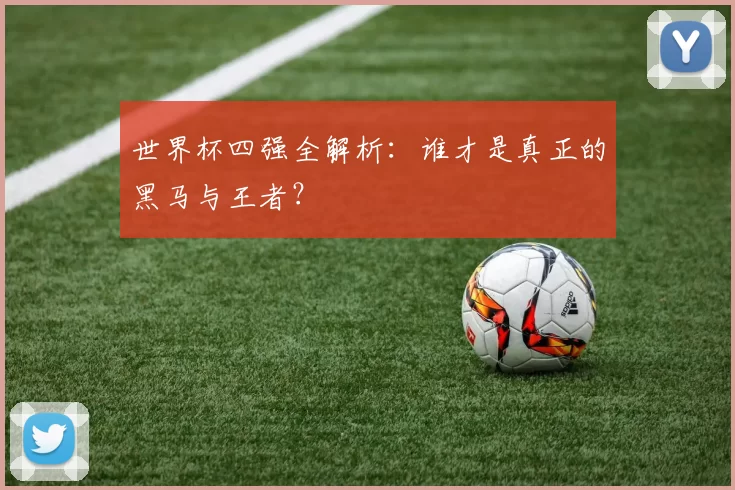 世界杯四强全解析:谁才是真正的黑马与王者?