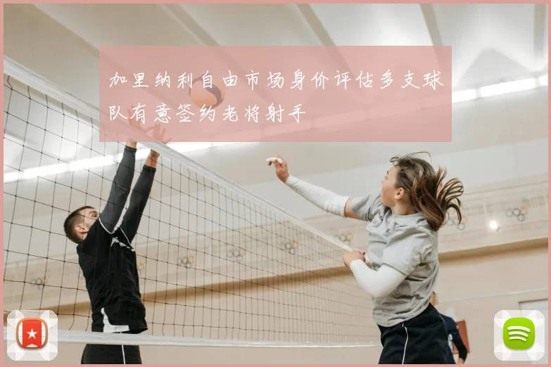 加里纳利自由市场身价评估多支球队有意签约老将射手