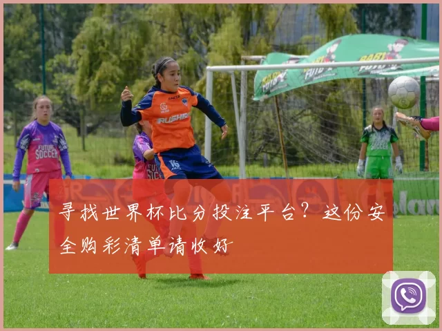 寻找世界杯比分投注平台?这份安全购彩清单请收好