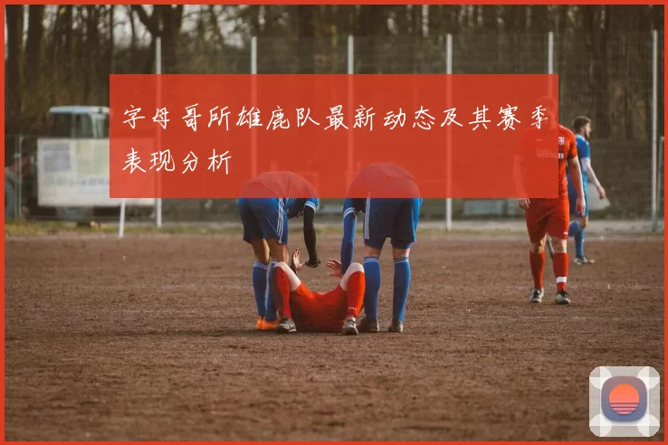 字母哥所雄鹿队最新动态及其赛季表现分析