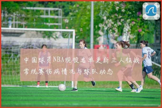 中国球员NBA现役名单更新三人征战常规赛伤病情况与球队动态