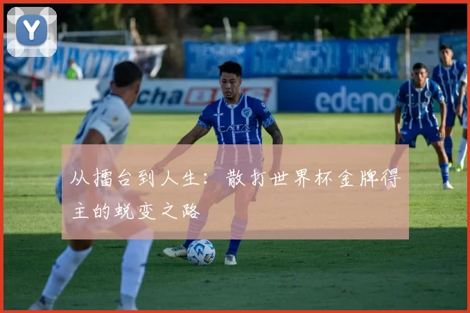 从擂台到人生：散打世界杯金牌得主的蜕变之路