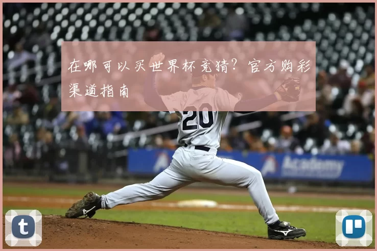 在哪可以买世界杯竞猜？官方购彩渠道指南