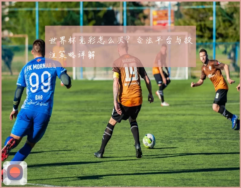 世界杯竞彩怎么买?合法平台与投注策略详解