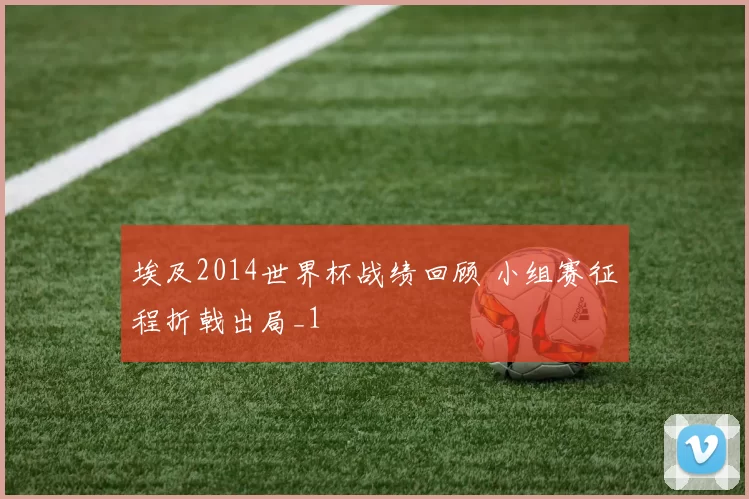 埃及2014世界杯战绩回顾 小组赛征程折戟出局_1