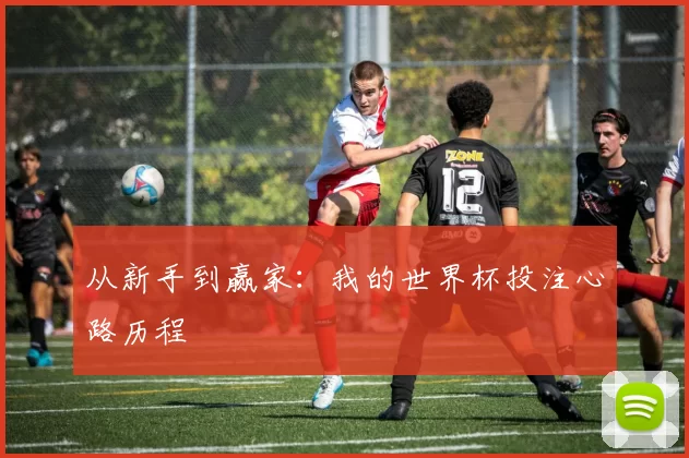 从新手到赢家：我的世界杯投注心路历程