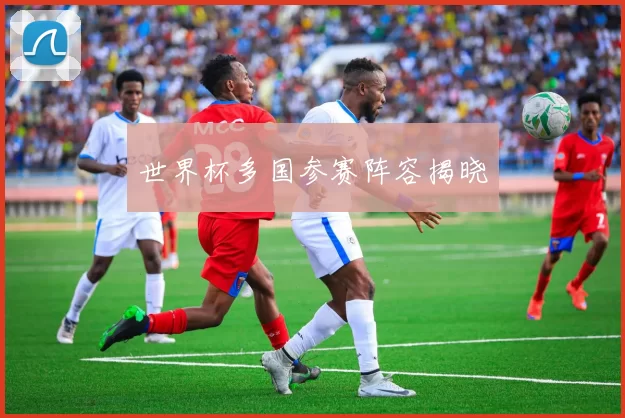 世界杯多国参赛阵容揭晓