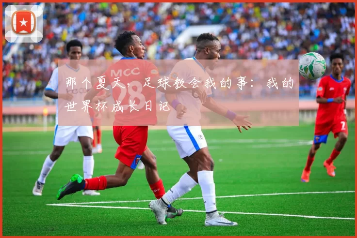那个夏天，足球教会我的事：我的世界杯成长日记