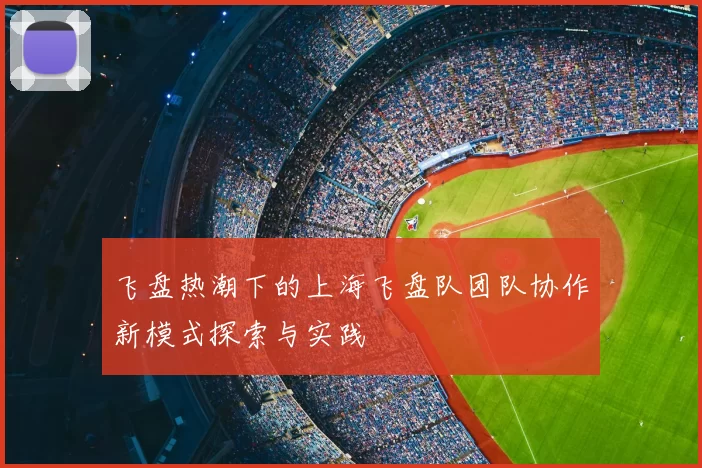 飞盘热潮下的上海飞盘队团队协作新模式探索与实践