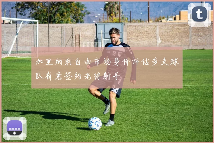 加里纳利自由市场身价评估多支球队有意签约老将射手