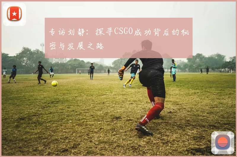 专访刘静:探寻CSGO成功背后的秘密与发展之路