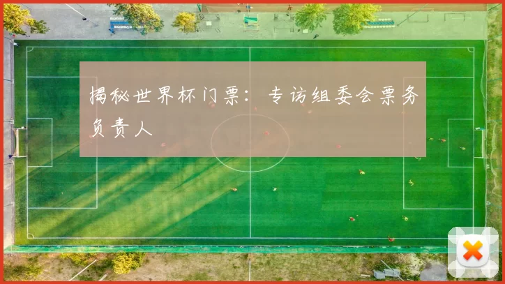 揭秘世界杯门票：专访组委会票务负责人
