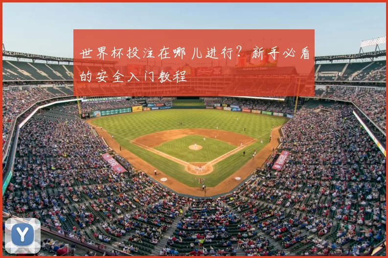 世界杯投注在哪儿进行？新手必看的安全入门教程